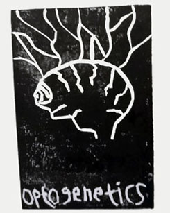 Heworth Grange School - Print Workshop with Incubate Experimental Printmaking